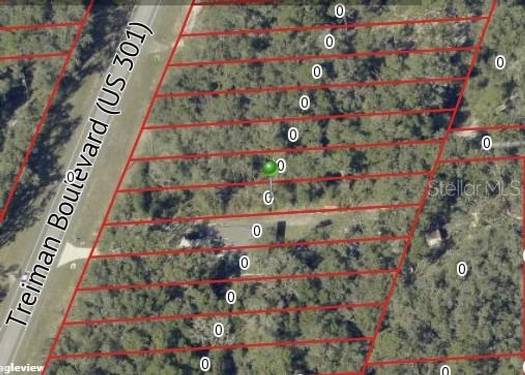 Image 6 of property listing at 7466 TREIMAN BOULEVARD, Webster, FL 33597