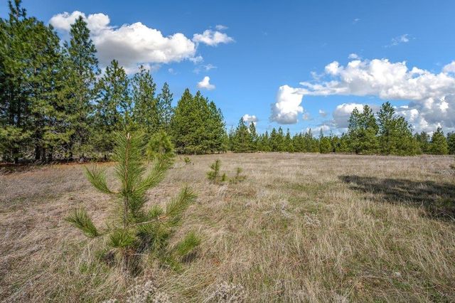 NKA W Findley Ln, Deer Park, WA 99006