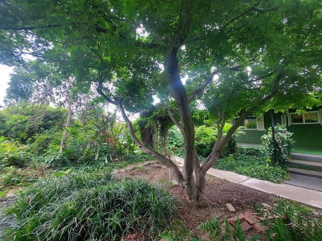 450 S Roberta Way, Marysville, CA 95901