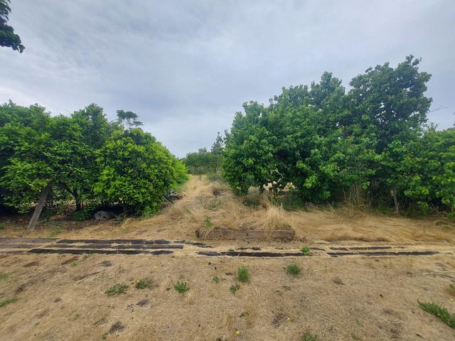 450 S Roberta Way, Marysville, CA 95901