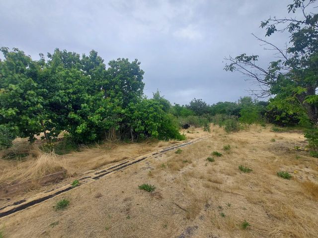 450 S Roberta Way, Marysville, CA 95901