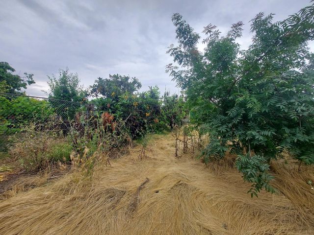 450 S Roberta Way, Marysville, CA 95901