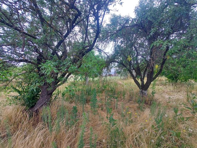 450 S Roberta Way, Marysville, CA 95901