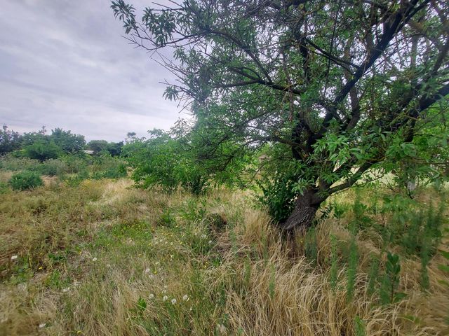 450 S Roberta Way, Marysville, CA 95901