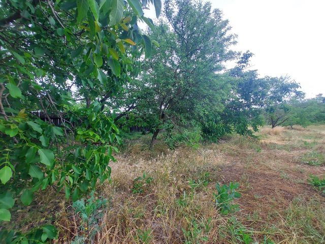 450 S Roberta Way, Marysville, CA 95901
