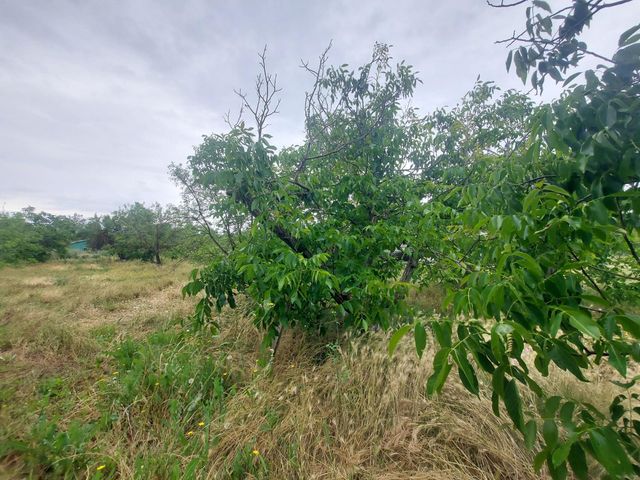 450 S Roberta Way, Marysville, CA 95901