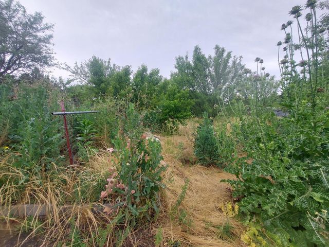 450 S Roberta Way, Marysville, CA 95901