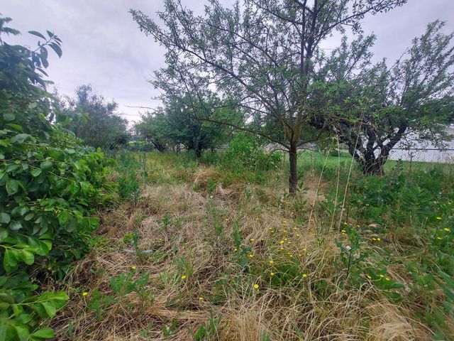 450 S Roberta Way, Marysville, CA 95901
