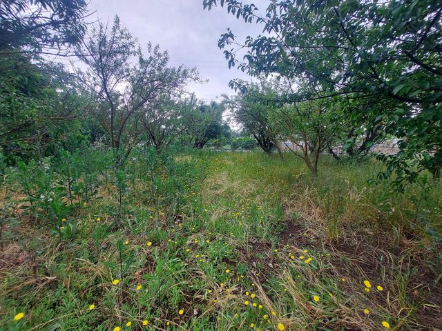 450 S Roberta Way, Marysville, CA 95901
