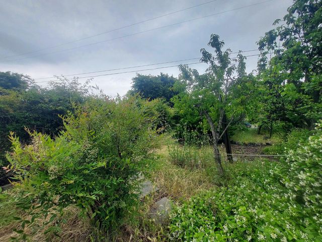 450 S Roberta Way, Marysville, CA 95901