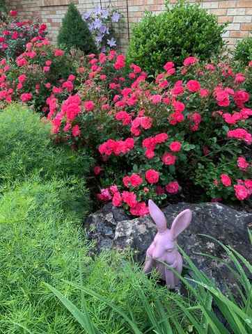 2747 E Rocklyn Road, Springfield, MO 65804