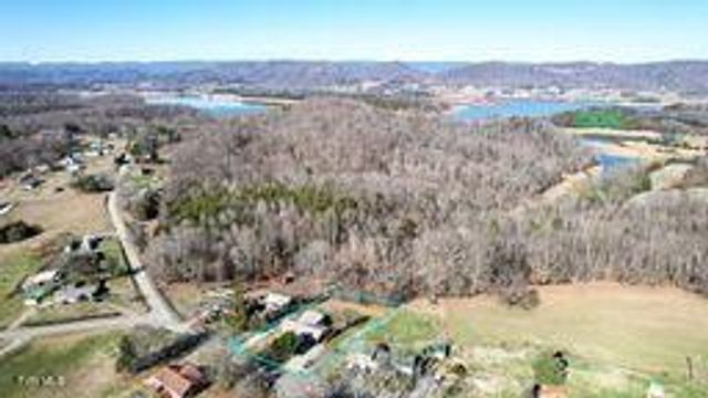 6009 Fall Creek Dock Road, Russellville, TN 37860