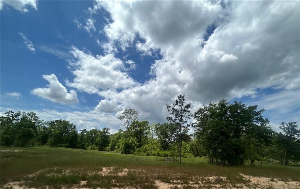 0 Sandy Creek Lane, Mobile, AL 36695 — photo 4