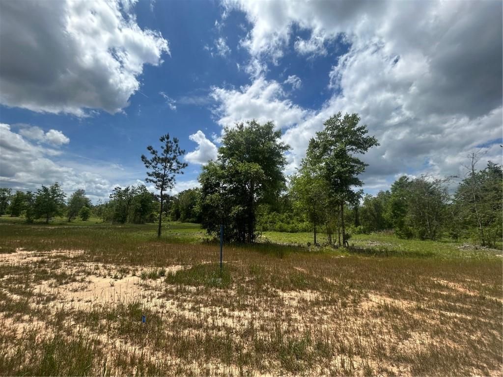 0 Sandy Creek Lane, Mobile, AL 36695 — photo 5