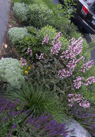 148 Wheeling Avenue, Wheeling, IL 60090