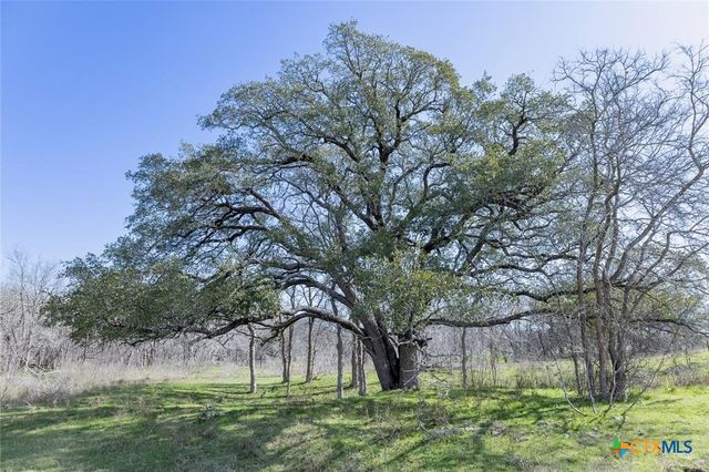 3270 FM 671, Luling, TX 78648