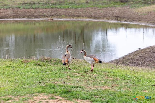3270 FM 671, Luling, TX 78648