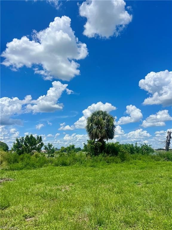 319 NW 11th TER, CAPE CORAL, FL 33993 — photo 2