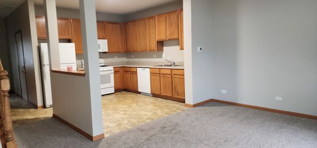 4561 Garritano Street B, Yorkville, IL 60560
