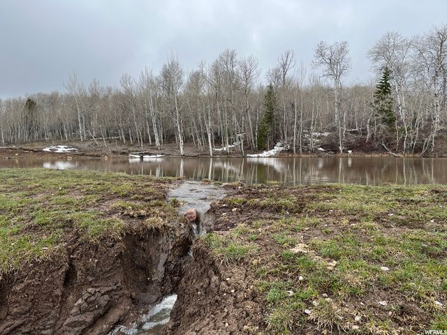 1354 STAUFFER CANYON RD, Montpelier, ID 83254