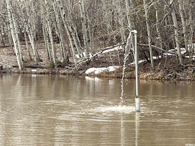 1354 STAUFFER CANYON RD, Montpelier, ID 83254