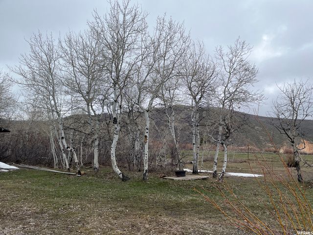 1354 STAUFFER CANYON RD, Montpelier, ID 83254