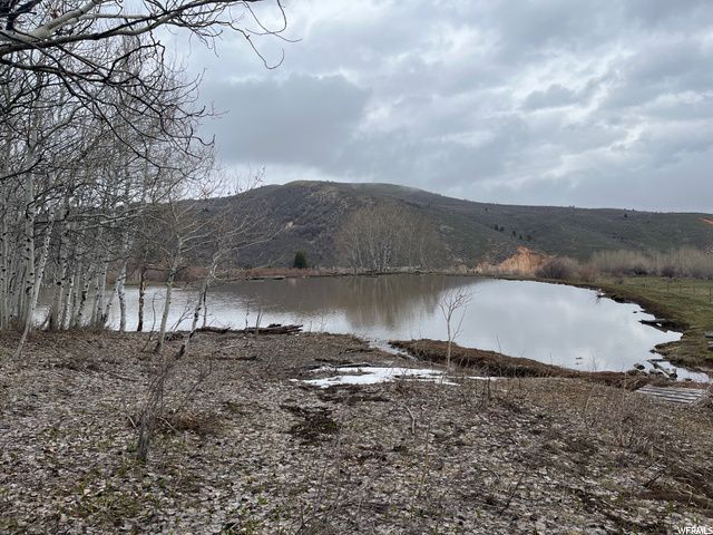 1354 STAUFFER CANYON RD, Montpelier, ID 83254