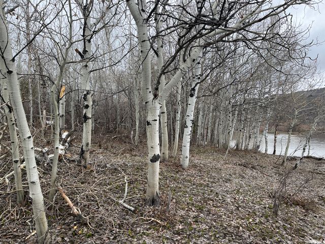 1354 STAUFFER CANYON RD, Montpelier, ID 83254