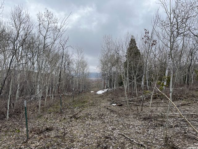 1354 STAUFFER CANYON RD, Montpelier, ID 83254