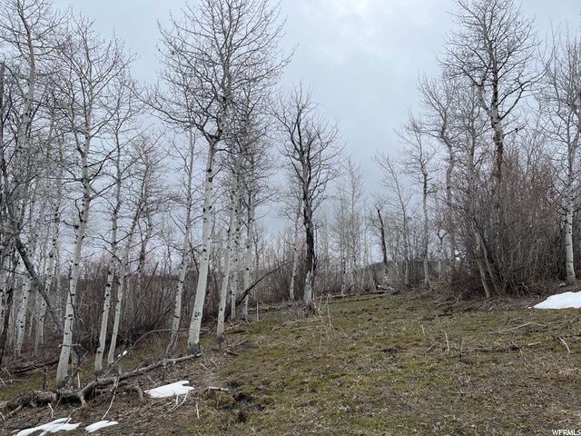 1354 STAUFFER CANYON RD, Montpelier, ID 83254