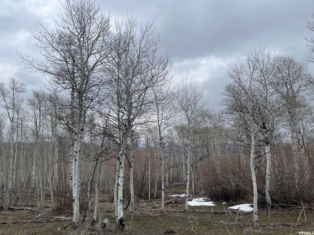 1354 STAUFFER CANYON RD, Montpelier, ID 83254