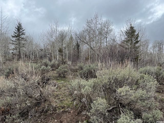 1354 STAUFFER CANYON RD, Montpelier, ID 83254