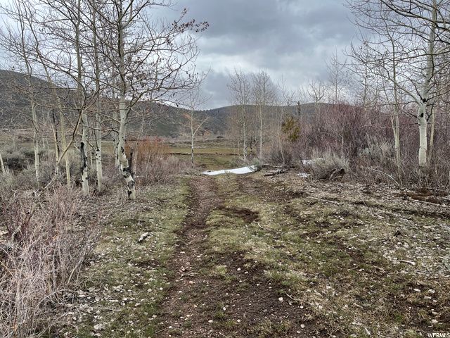 1354 STAUFFER CANYON RD, Montpelier, ID 83254