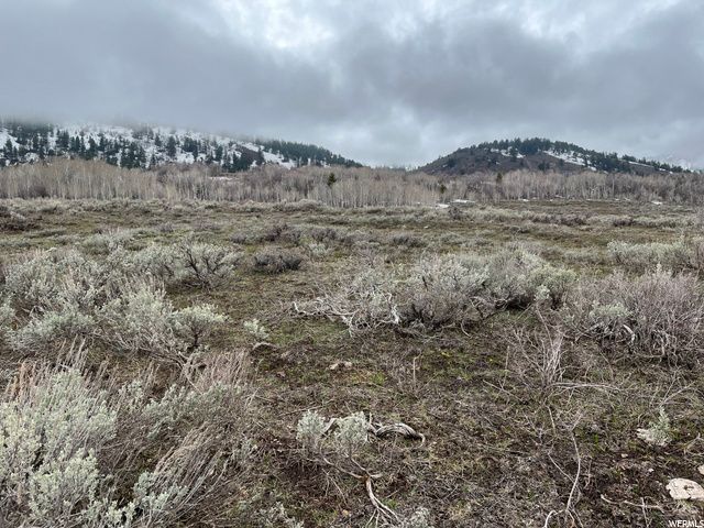 1354 STAUFFER CANYON RD, Montpelier, ID 83254