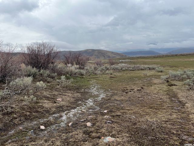 1354 STAUFFER CANYON RD, Montpelier, ID 83254