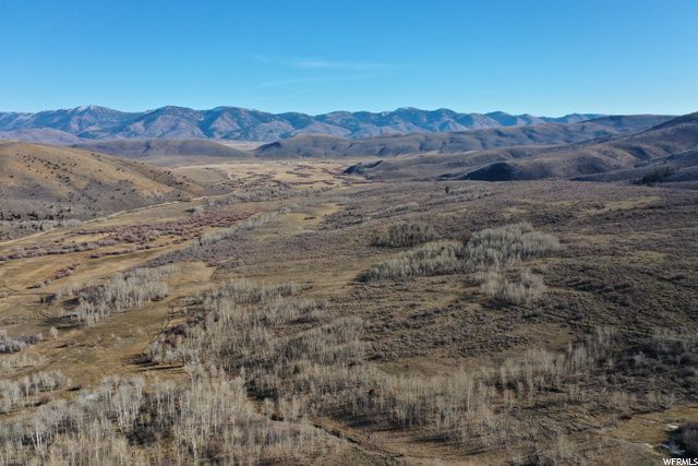 1354 STAUFFER CANYON RD, Montpelier, ID 83254