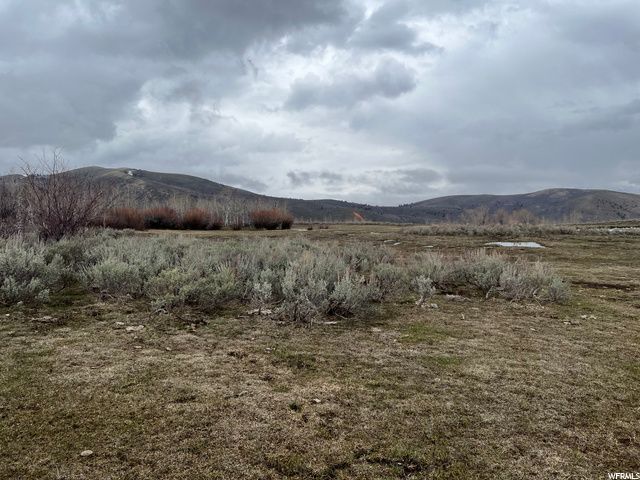 1354 STAUFFER CANYON RD, Montpelier, ID 83254