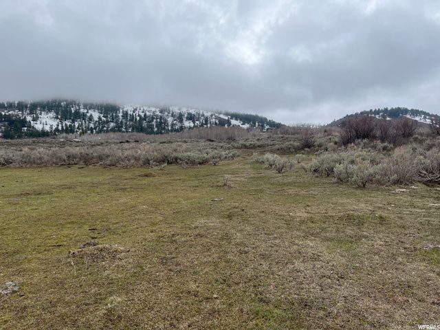 1354 STAUFFER CANYON RD, Montpelier, ID 83254