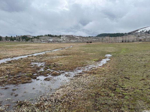 1354 STAUFFER CANYON RD, Montpelier, ID 83254