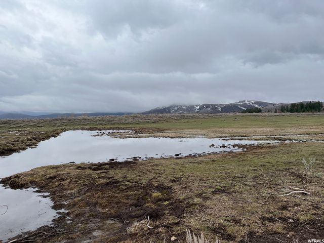 1354 STAUFFER CANYON RD, Montpelier, ID 83254