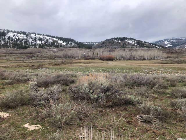 1354 STAUFFER CANYON RD, Montpelier, ID 83254