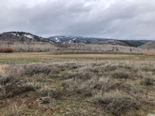 1354 STAUFFER CANYON RD, Montpelier, ID 83254