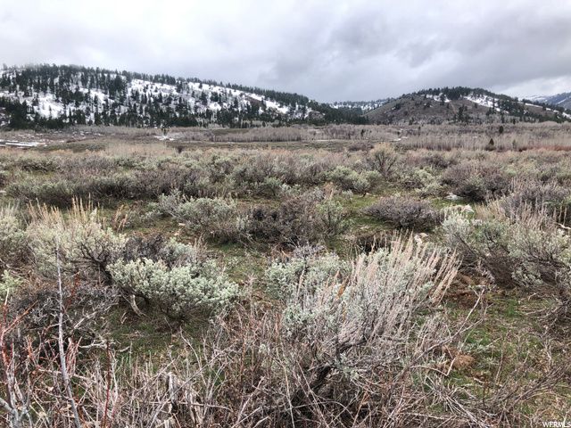 1354 STAUFFER CANYON RD, Montpelier, ID 83254