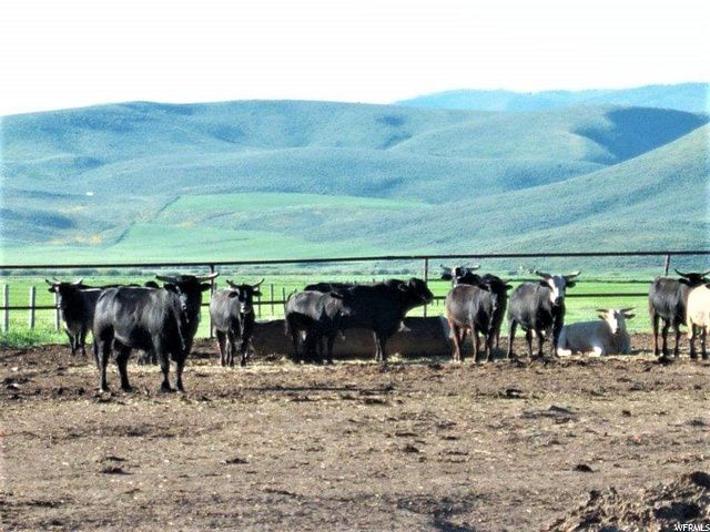 1354 STAUFFER CANYON RD, Montpelier, ID 83254