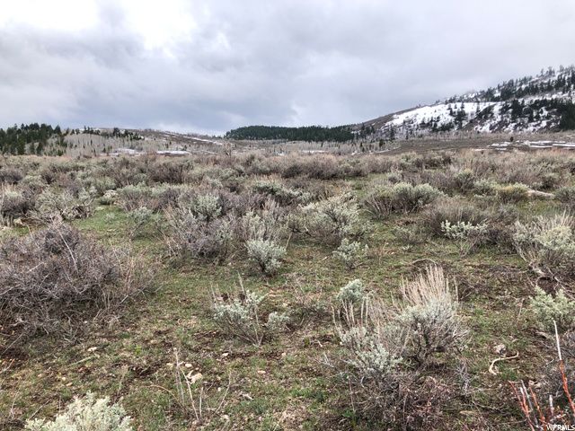 1354 STAUFFER CANYON RD, Montpelier, ID 83254