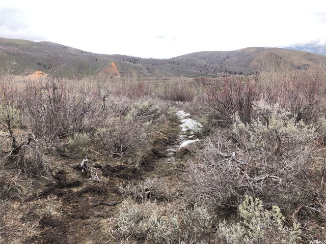 1354 STAUFFER CANYON RD, Montpelier, ID 83254