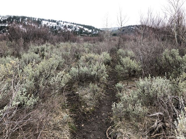 1354 STAUFFER CANYON RD, Montpelier, ID 83254