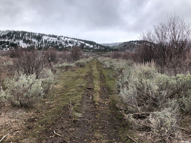 1354 STAUFFER CANYON RD, Montpelier, ID 83254