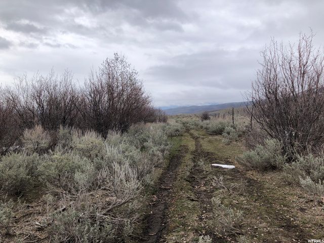 1354 STAUFFER CANYON RD, Montpelier, ID 83254