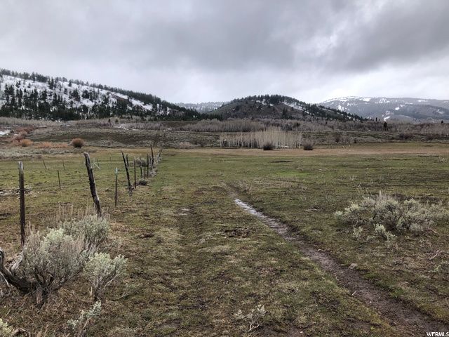 1354 STAUFFER CANYON RD, Montpelier, ID 83254